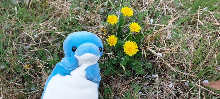 봄이 찾아왔어요!_16.webp