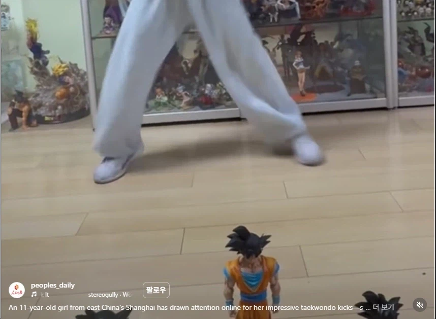 베스트 태권도 딸래미 영상의 장식장이 신비로움에 대한 검증_9.webp