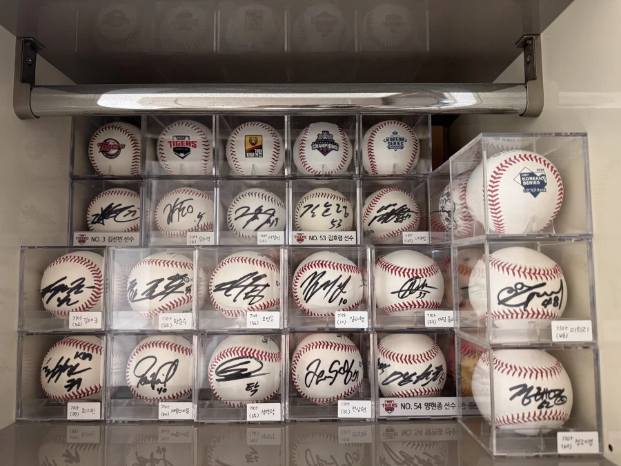 누가 이기나 보자_1.webp