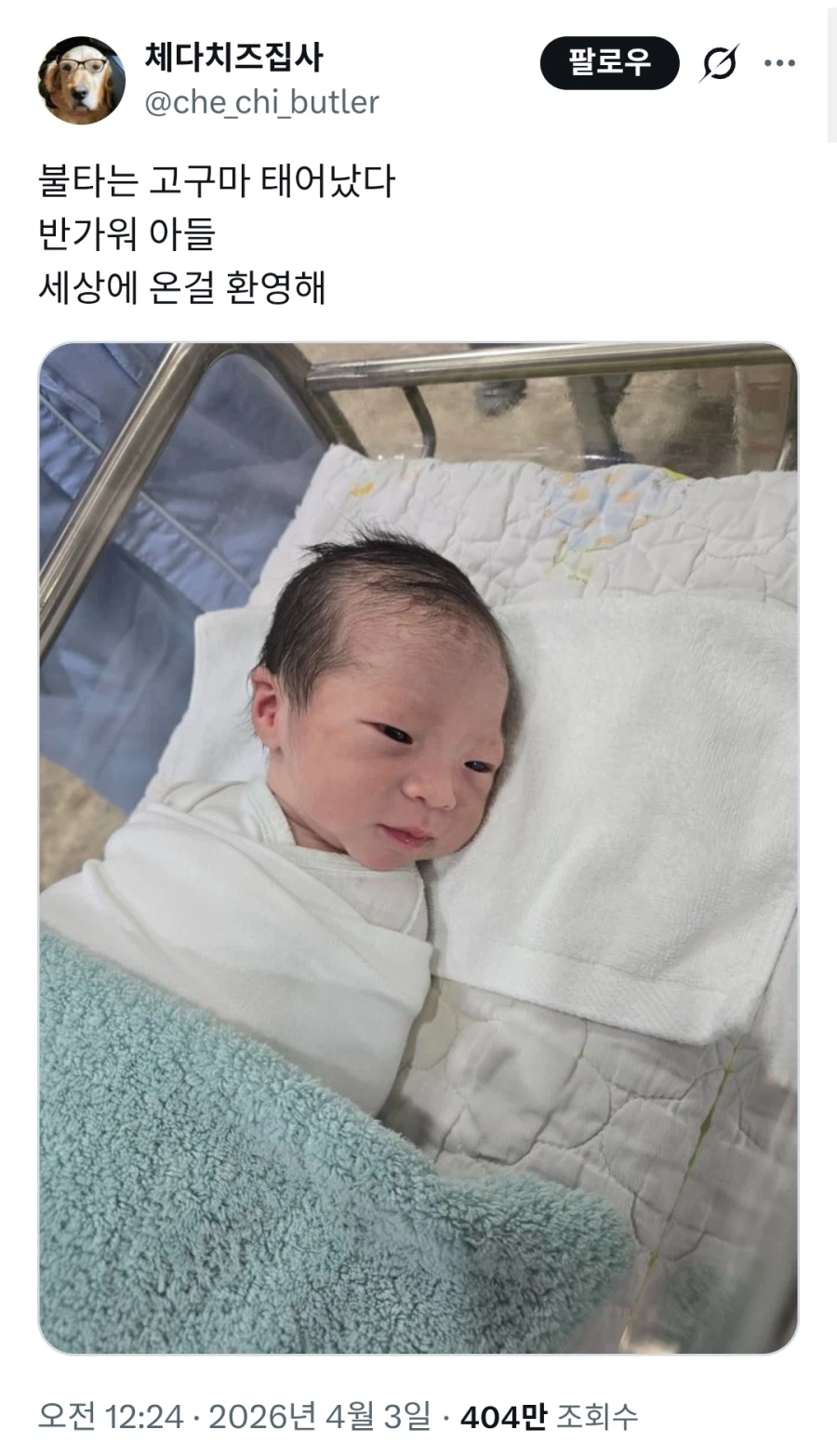 번역 때문에 화제인 갓태어난 아기ㅋㅋㅋ_1.webp