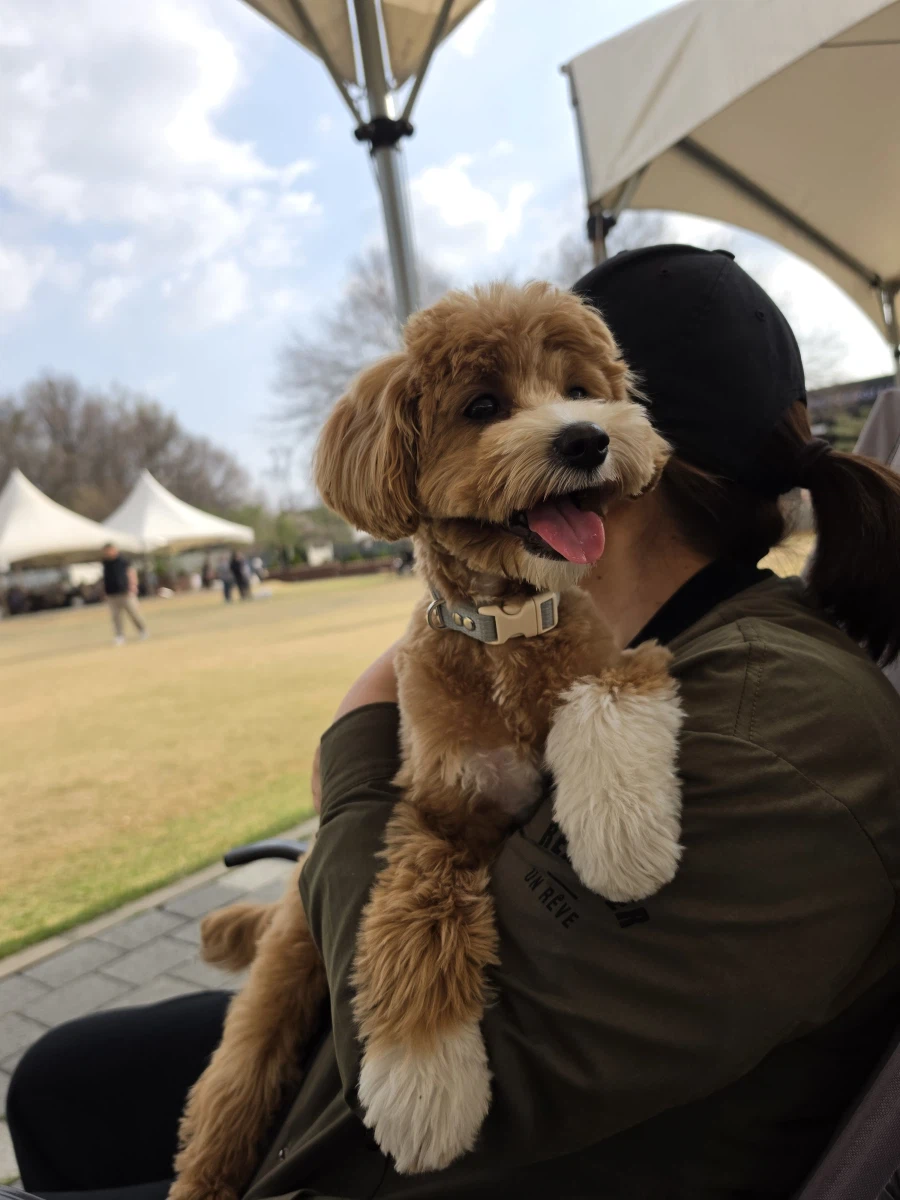 명동 가려다가 본가로 납치당한 이야기와 화이트리스트_4.webp