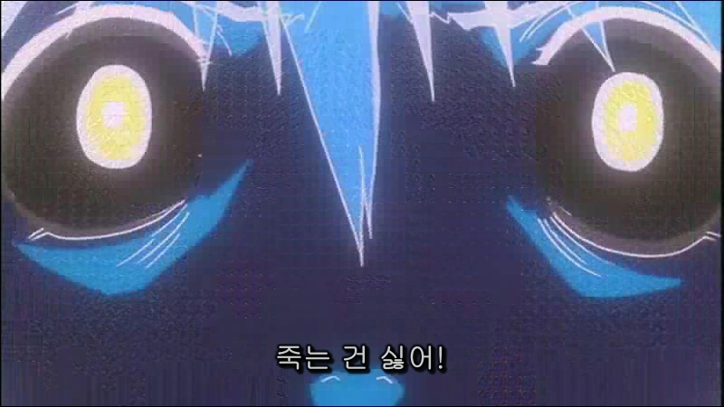 극장판 에반게리온 ~엔드 오브 에바~(1)_10.jpg