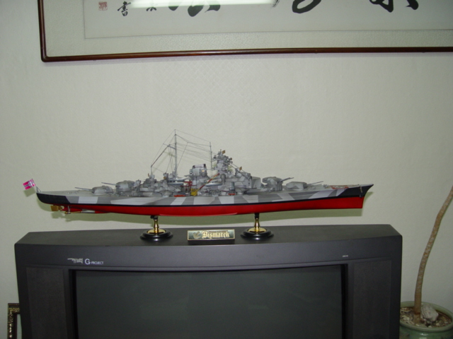 아카데미 1/350 전함 비스마르크_11.jpg