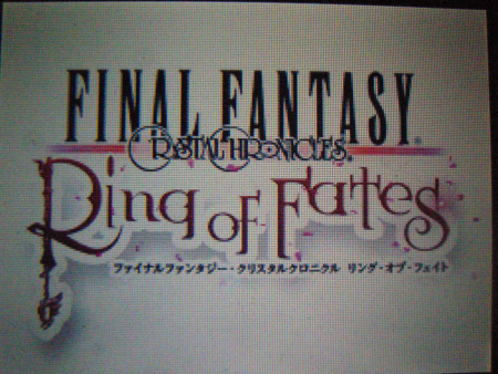 FF CC ~링 오브 페이트~_3.jpg