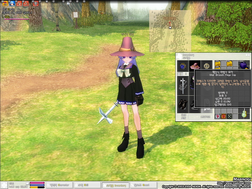 마비노기별장식 마법사모자 를 샀습니다