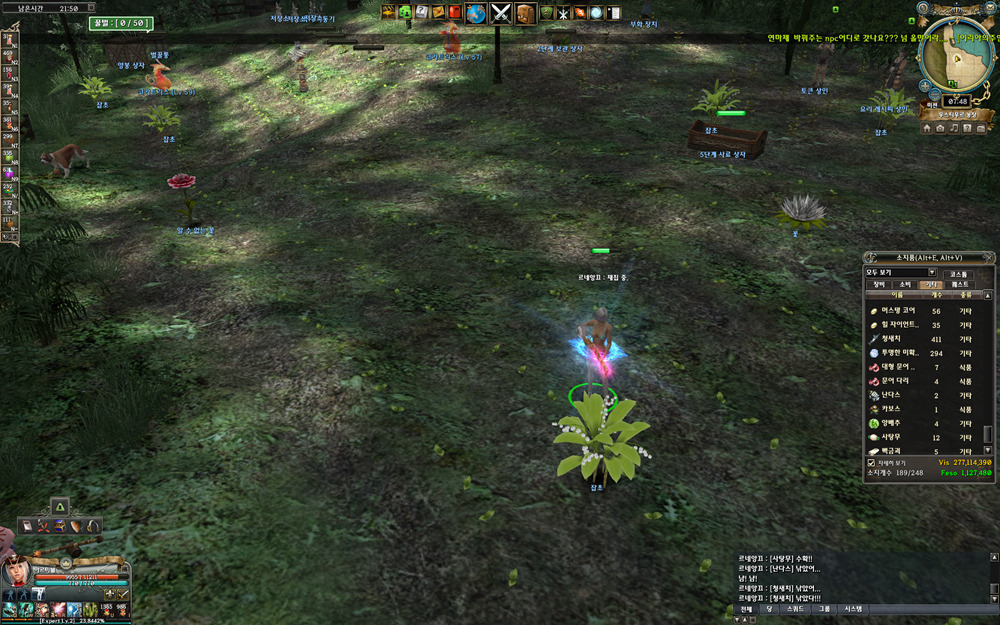 그라나도 - 알수 없는 꽃? 과 백금괴..._5.jpg