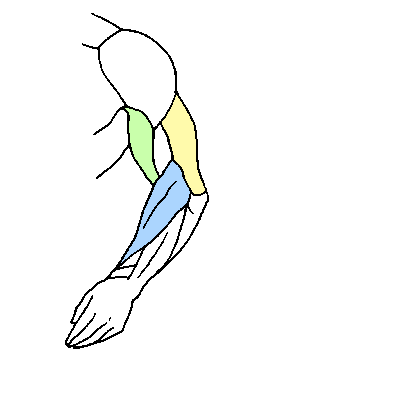 혼자서 그림그리기 배울 때 유용한 사이트 모음_5.jpg