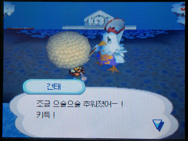 동물의 숲 패션왕...(bgm)_4.jpg