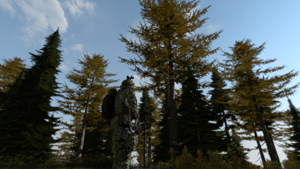 ArmA 2:CO, 그리스 치안상태_3.jpg