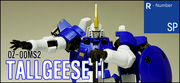 로봇혼 SIDE MS 톨기스Ⅱ_1.jpg