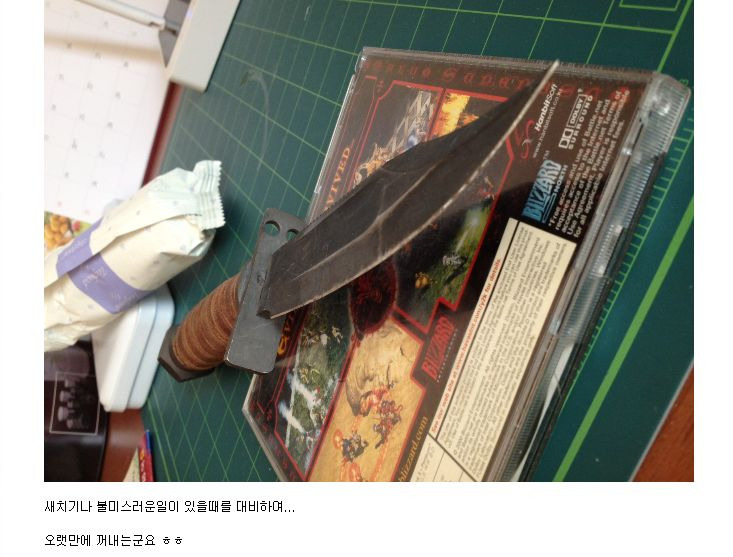 디아3 발매이벤트에 지참할 나이프를 인증한 유저가 있어 논란_2.jpg