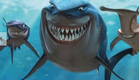 img/5/0/3/1/5031553C4179A70010