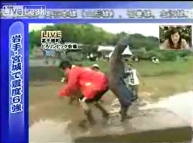 img/5/0/8/D/508D0D1B3E3F6B0034