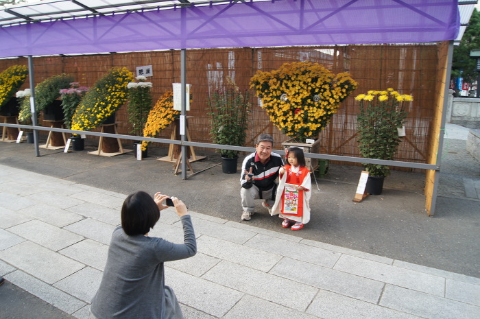 img/5/0/9/7/5097712F3536510001