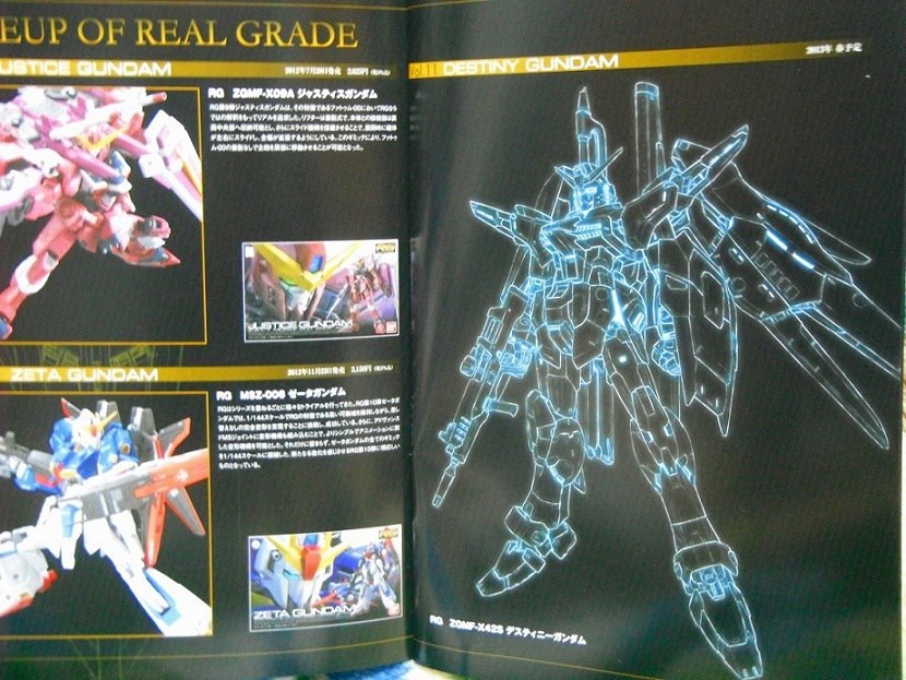 데스티니 알쥐 발표_1.jpg