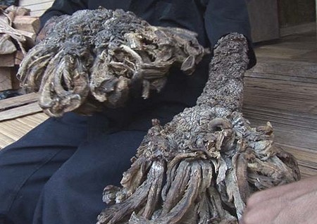 img/5/0/E/4/50E468974E247F0010