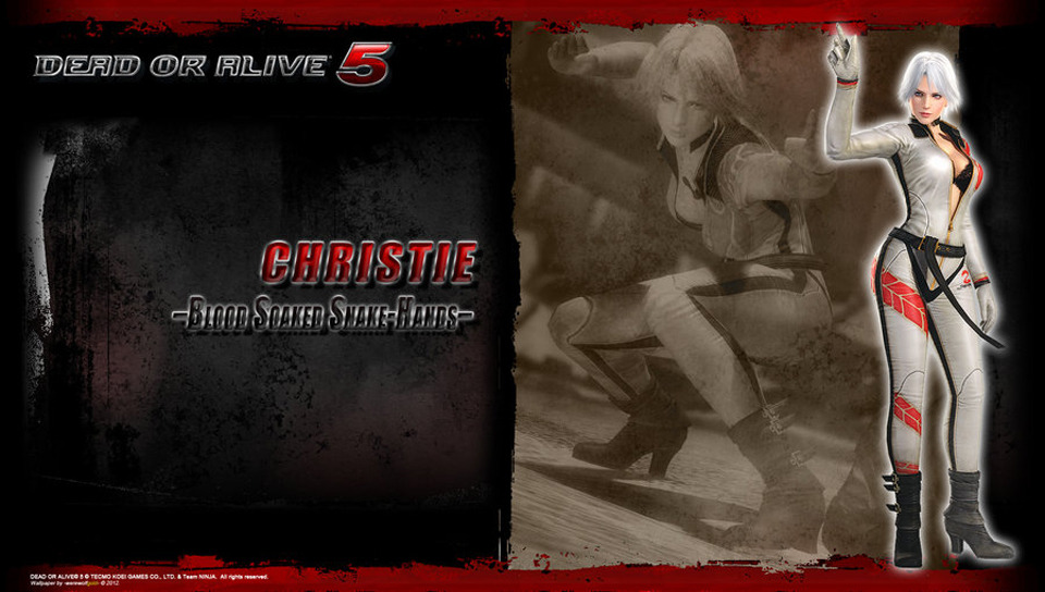 플스비타 DOA5+ 발매기념! DOA5 비타 배경화면 47장!_43.jpg