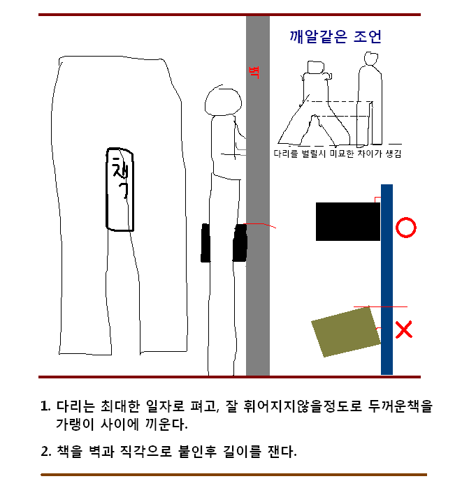 서양인 인심다리길이 평균
