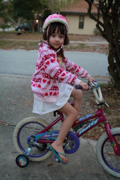 img/5/1/B/9/51B9B69D4D77A60013