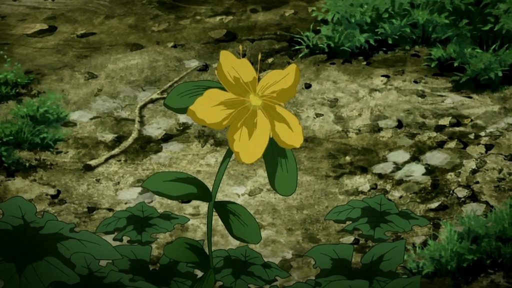 [아노하나] 그날 본 꽃의 이름을 우리는 이제 안다_21.jpg