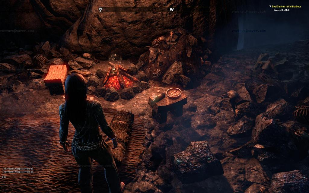 엘더스크롤 온라인 베타 스트레스 테스트 소감 및 평입니다^^_8.jpg