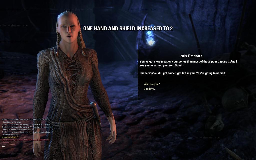 엘더스크롤 온라인 베타 스트레스 테스트 소감 및 평입니다^^_26.jpg