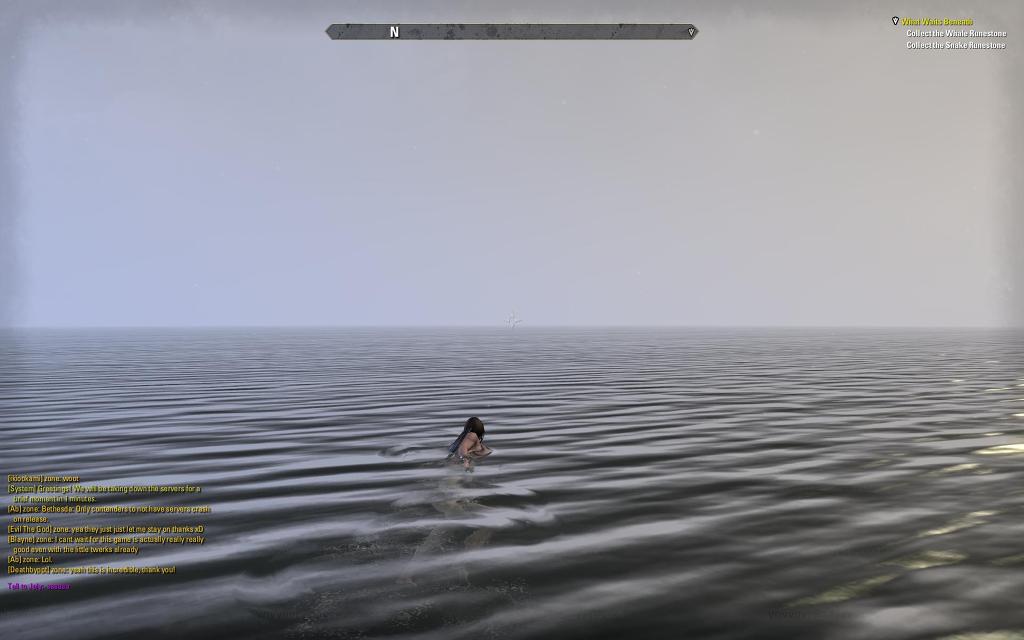 엘더스크롤 온라인 베타 스트레스 테스트 소감 및 평입니다^^_48.jpg