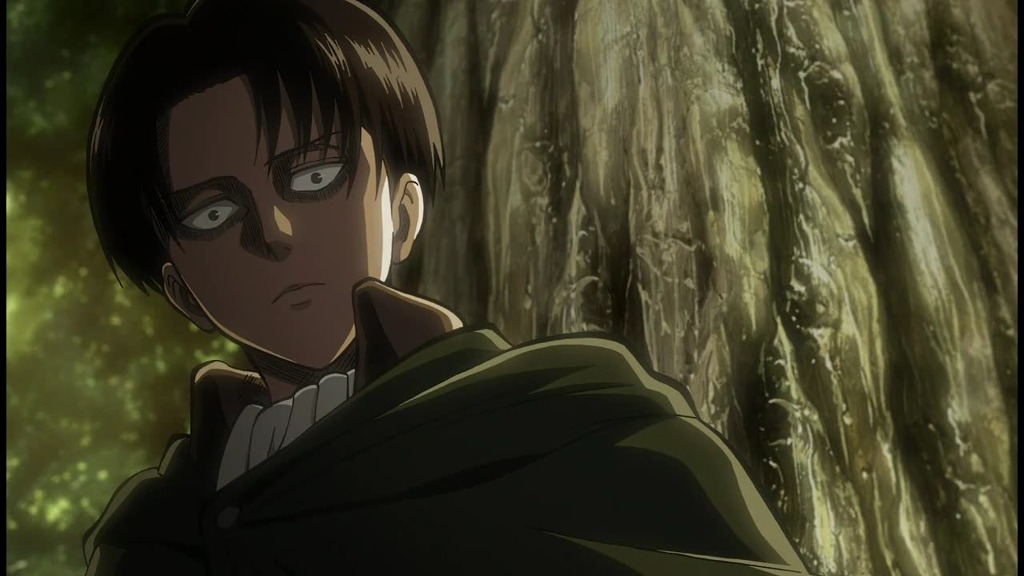 img/5/2/3/1/5231B68C4D62C30011