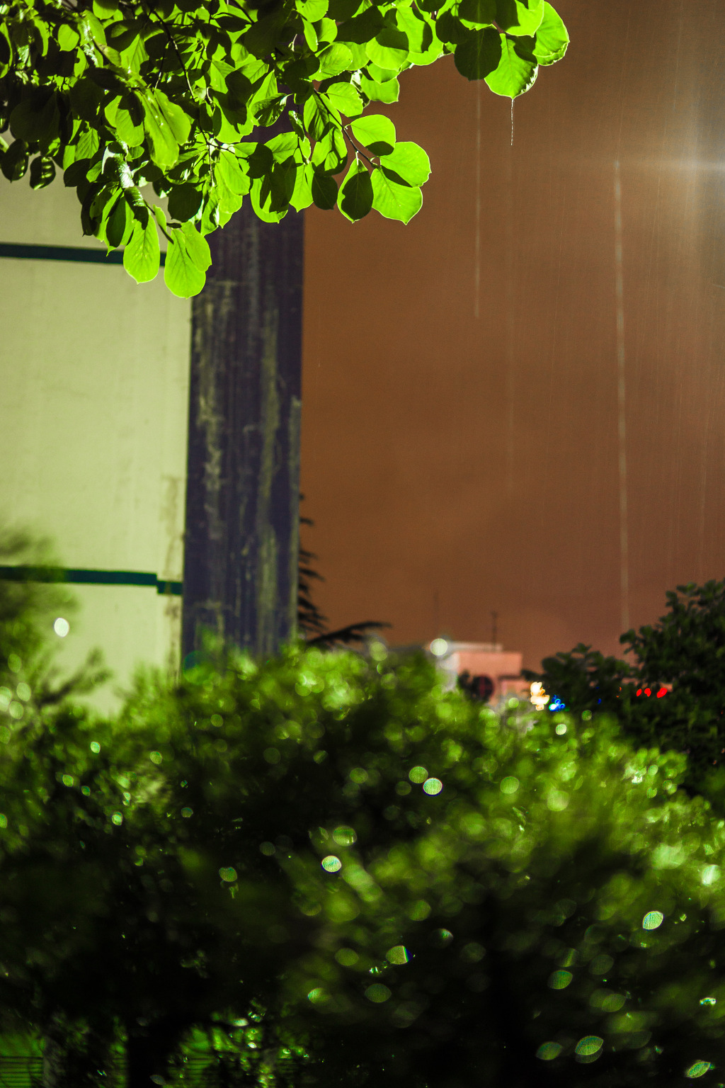 Raindrop_5.jpg