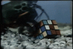 큐브를 발견한 바닷가재_1.jpg