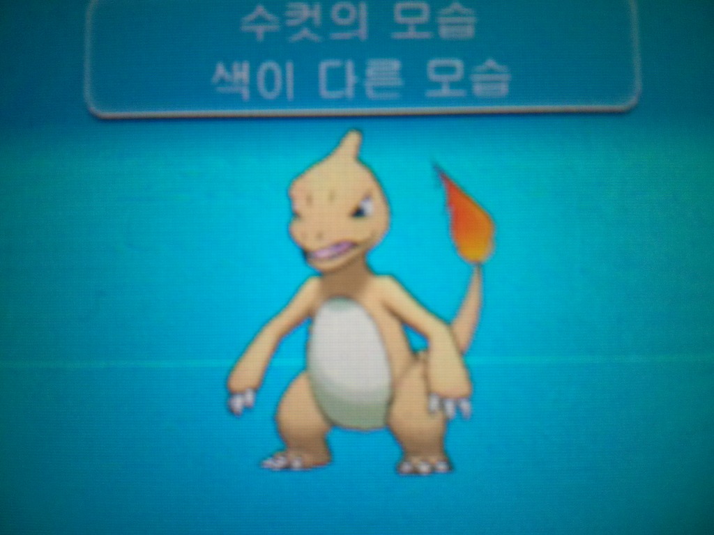 이로치 파이리 리자드 리자몽 메가리자몽XY_2.jpg