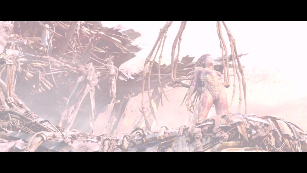 img/5/3/0/D/530D5A703E7C2E0003