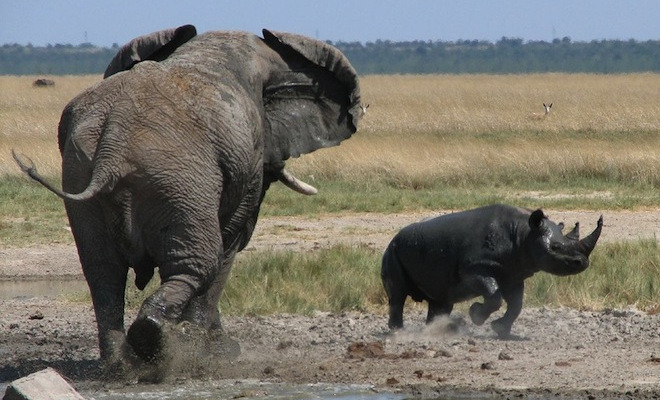 img/5/3/2/B/532B1FB14F16FC0023