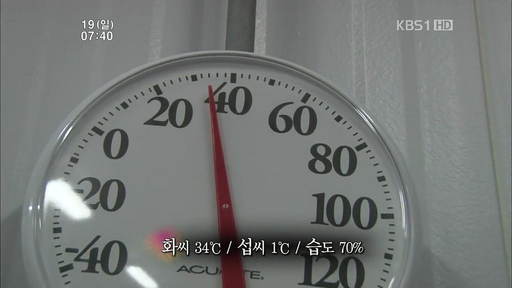 144년의 전통 뉴욕 스테이크.JPG_21.jpg