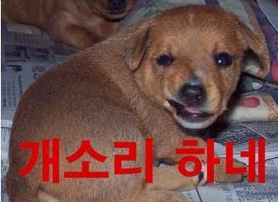 [마고열 6화] 당신은 지금 시대의 병★력을 보고 있다._113.jpg