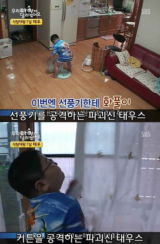 파개신 태우스 근황 ㅠㅠ (슬픔 주의..)_6.jpg