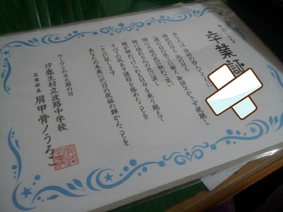 img/5/3/8/7/538728A2443A3F0031