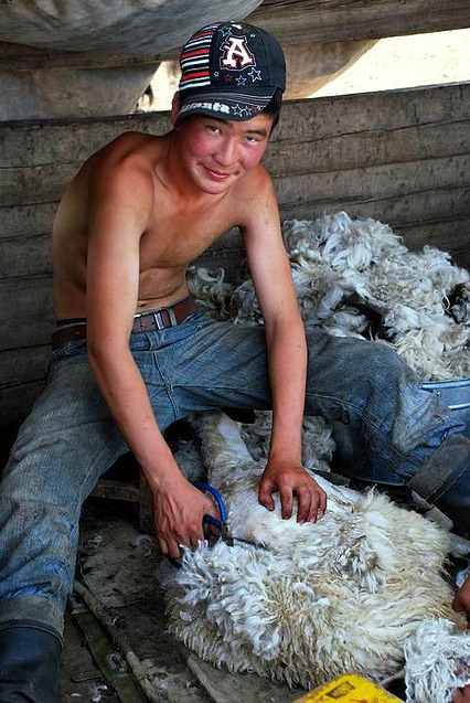 img/5/3/B/2/53B26D7C4F778A0002