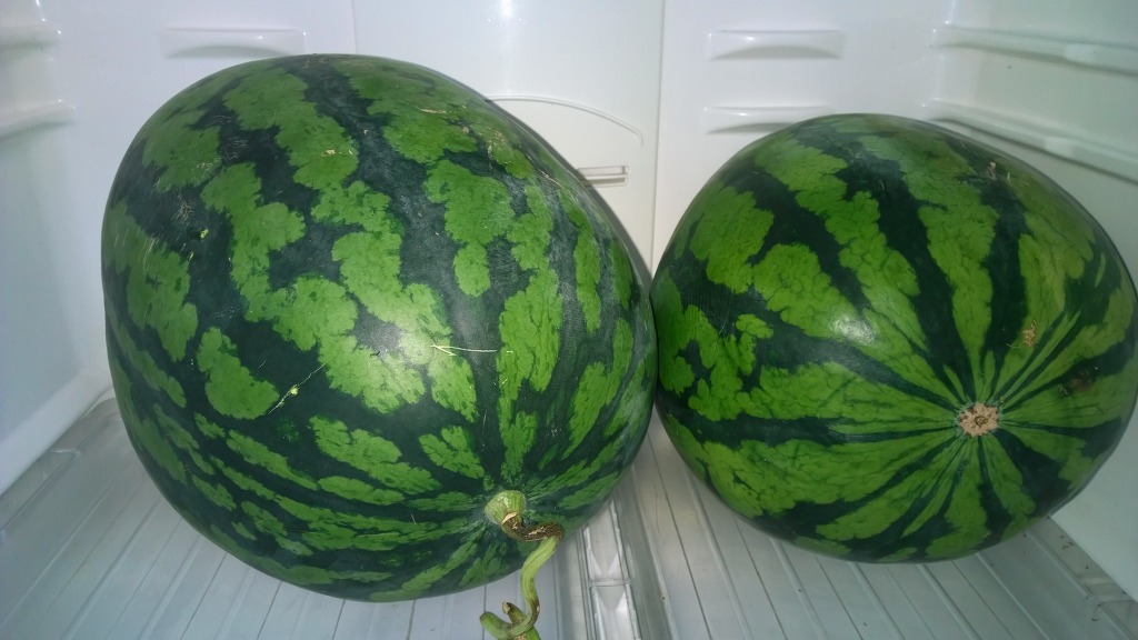 현재 루미아 1520 사용 중_1.jpg