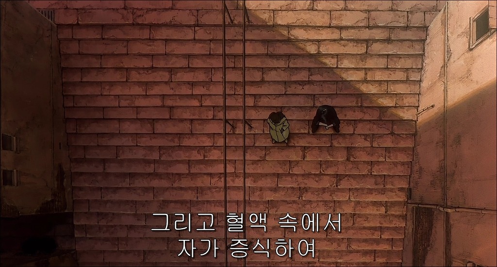 img/5/3/D/D/53DDDB633F0A720021