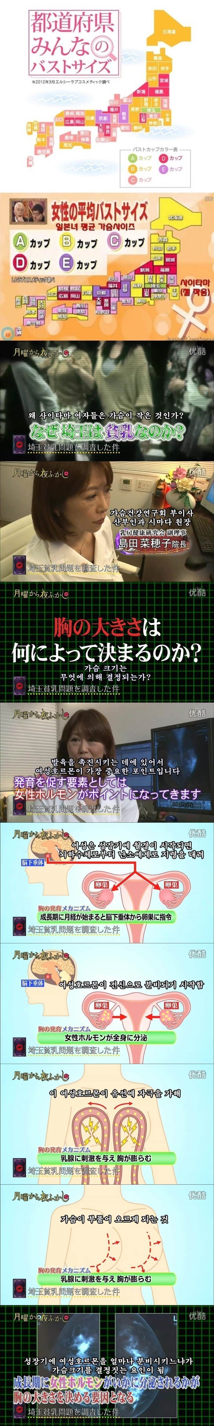 한국의 여자들이 가슴이 작은 이유_1.jpg