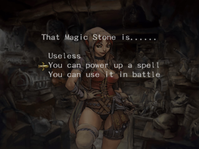 부신 위저드리: 버림받은 나라 10. 마을_79.jpg