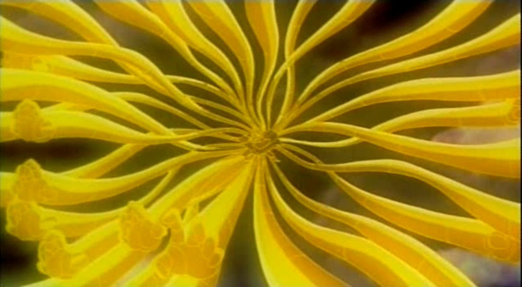 img/5/4/3/B/543BE808363EB20034