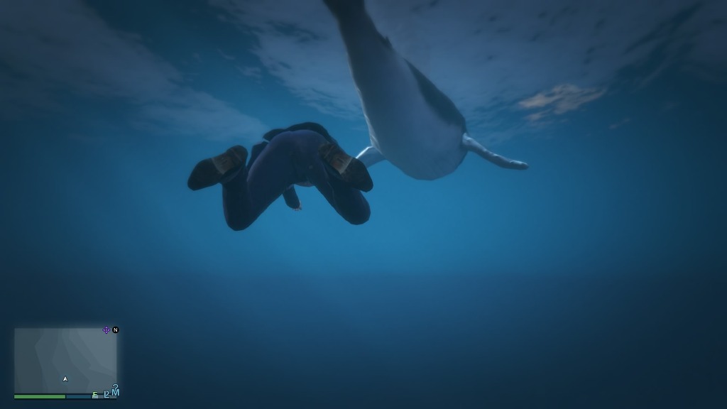 GTA5 고래를 보았다 ㄷㄷㄷㄷㄷㄷㄷ_5.jpg