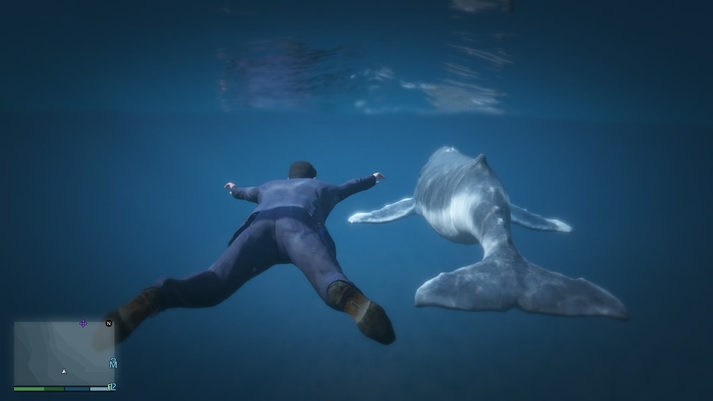 GTA5 고래를 보았다 ㄷㄷㄷㄷㄷㄷㄷ_7.jpg