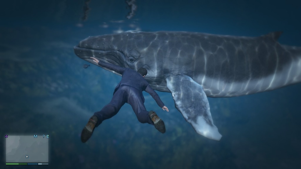 GTA5 고래를 보았다 ㄷㄷㄷㄷㄷㄷㄷ_13.jpg