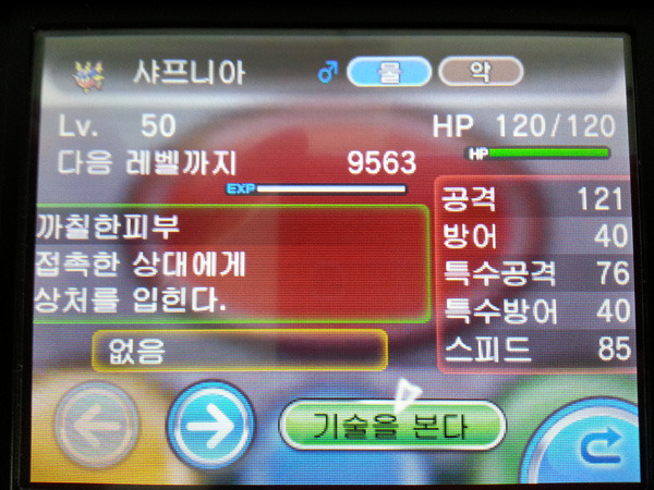 6v 샤프니아가 떴네요_1.jpg