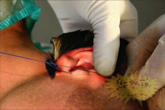 img/5/4/8/C/548C327B4C3B8A0013