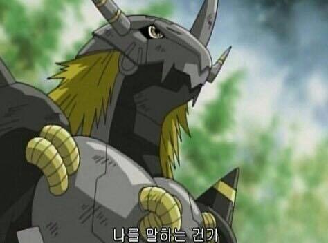 img/5/4/9/A/549AA0A74924CB0031