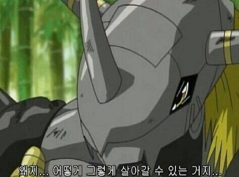 img/5/4/9/A/549AA0A84937260014